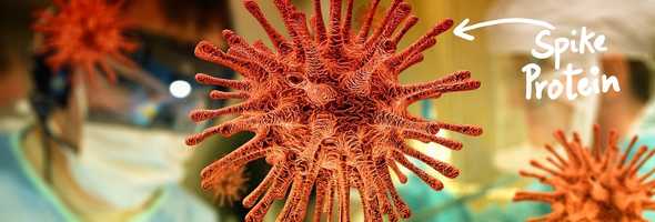 Coronavrius close shot